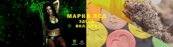 ГАЛЛЮЦИНОГЕННЫЕ ГРИБЫ Сатка