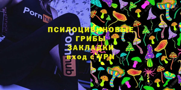 ГАЛЛЮЦИНОГЕННЫЕ ГРИБЫ Сатка