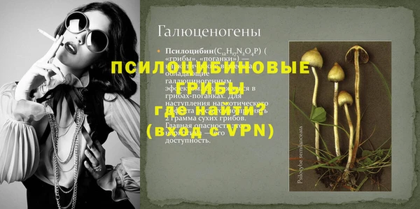 ГАЛЛЮЦИНОГЕННЫЕ ГРИБЫ Сатка