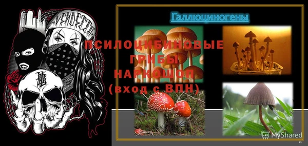 ALPHA PVP Сафоново