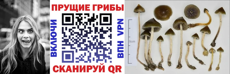 Галлюциногенные грибы прущие грибы Обь