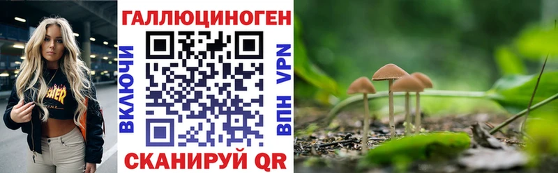 Галлюциногенные грибы прущие грибы  Купить  Обь 
